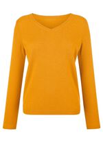 Tr&ouml;ja med kashmirinneh&aring;ll 