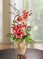 Orkid&eacute;arrangemang i kruka 