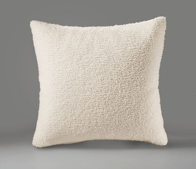 Filtar och kuddar med en fluffig, mjuk teddyfront 