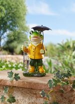 Groda med regnm&auml;tare 