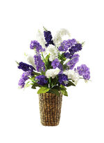 Syrengrenar i ett set om 6 st LILA