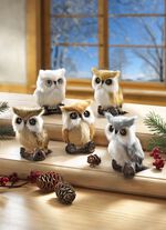 Ugglor med fuskp&auml;ls, set om 5 