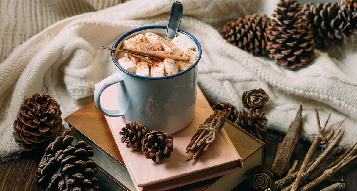 BADER:s julberättelse