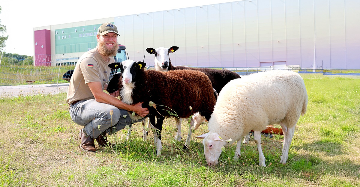 Herdaren med sin fårhjord